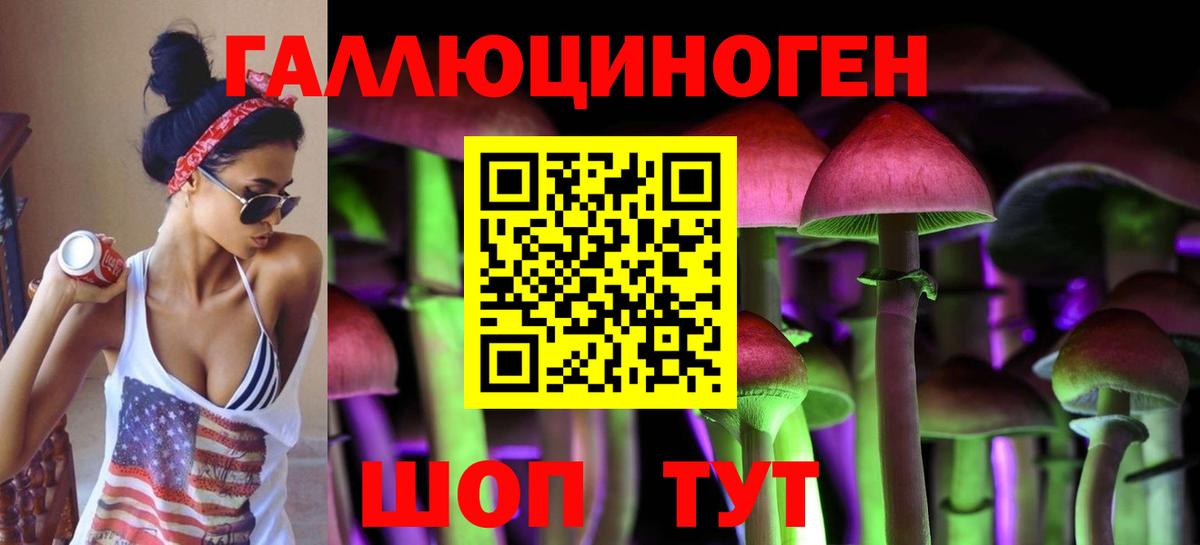 Галлюциногенные грибы Psilocybine cubensis Черкесск